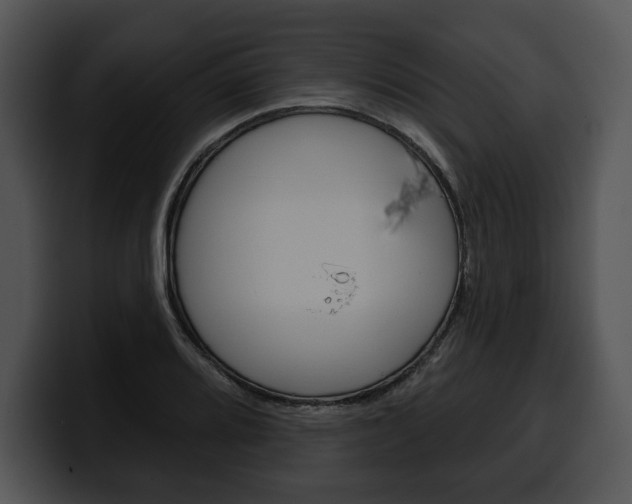 X0000100501080200806130725
