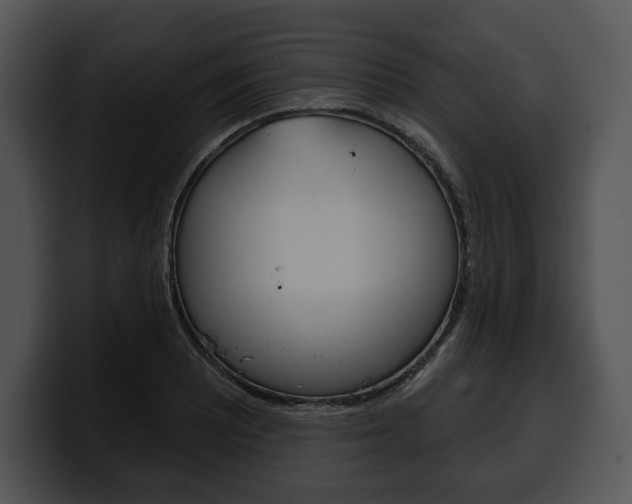 X0000100501081200806130725