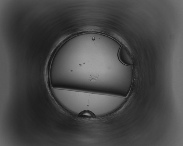 X0000100501082200806130725