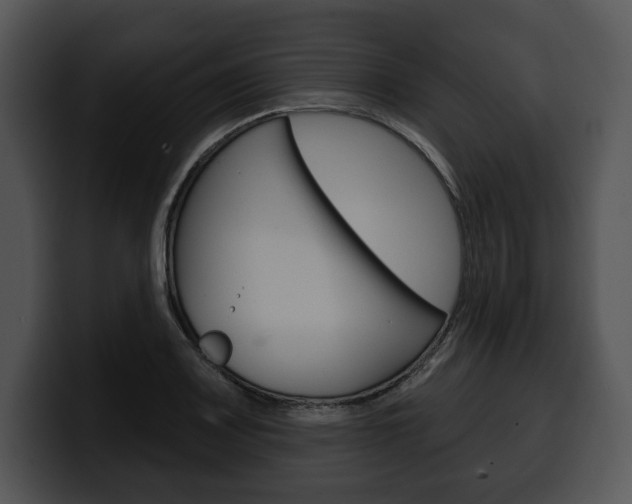 X0000100501083200806130725