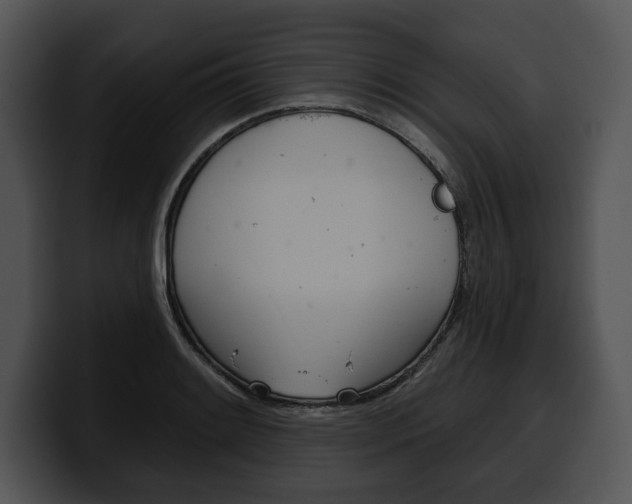 X0000100501084200806130725