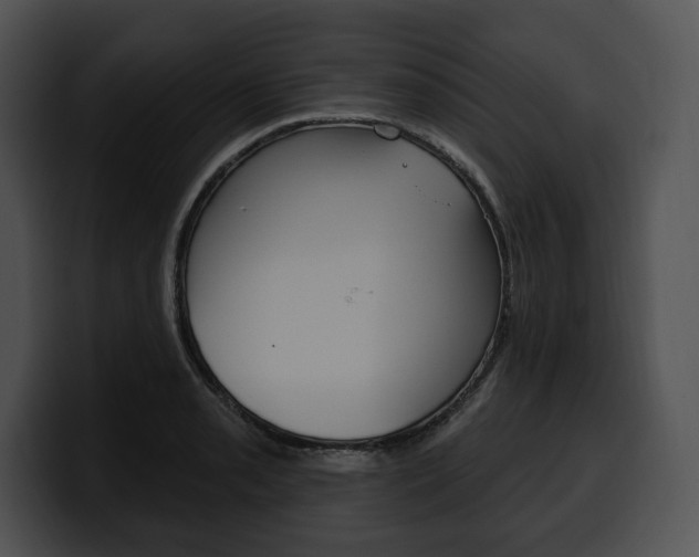 X0000100501085200806130725
