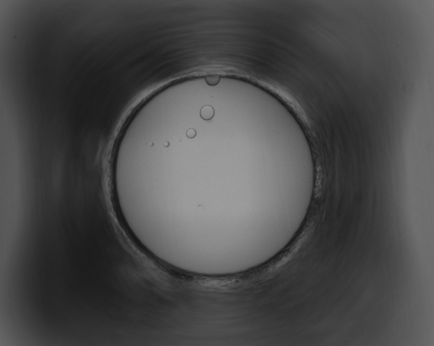 X0000100501086200806130725