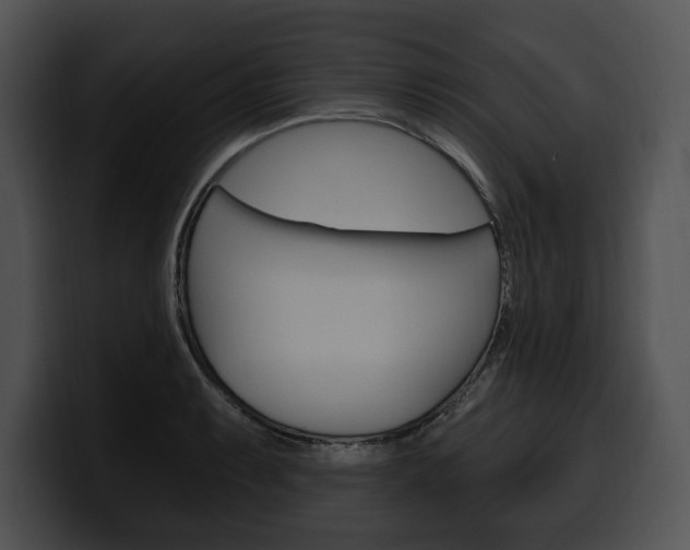 X0000100501087200806130725