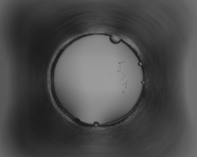 X0000100501088200806130725