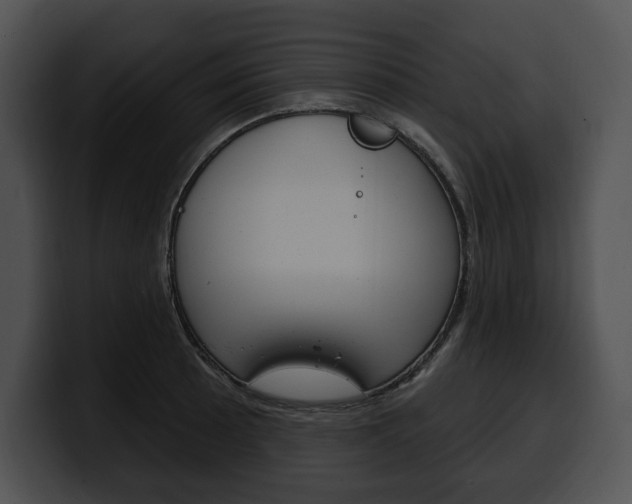 X0000100501089200806130725