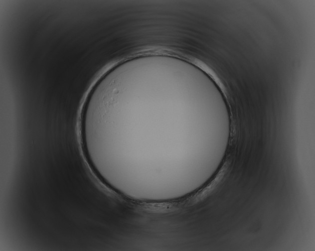 X0000100501090200806130725