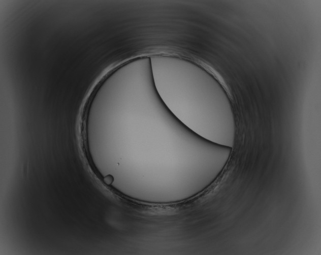 X0000100501091200806130725