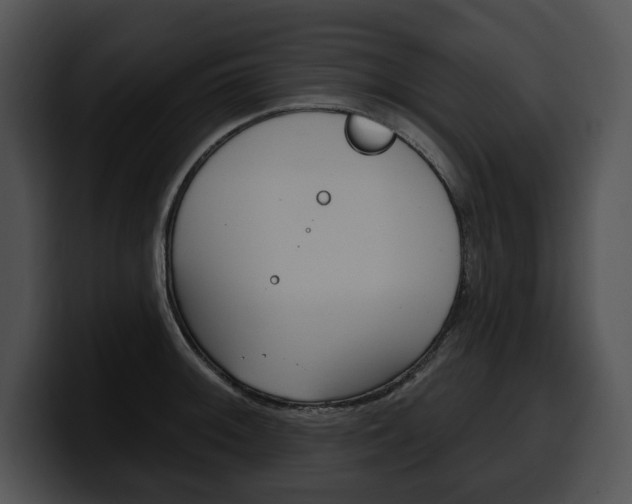 X0000100501092200806130725