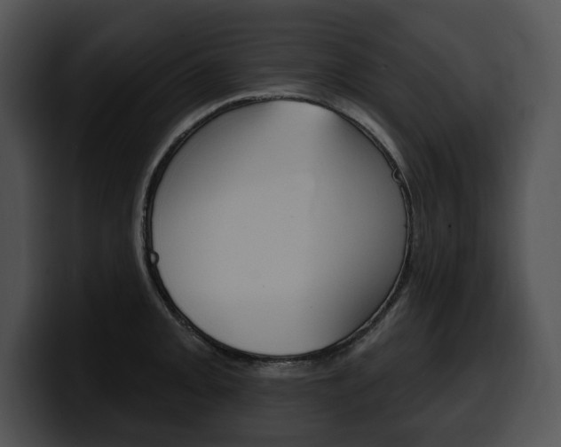 X0000100501093200806130725