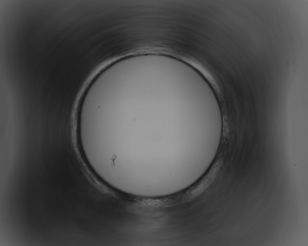 X0000100501094200806130725