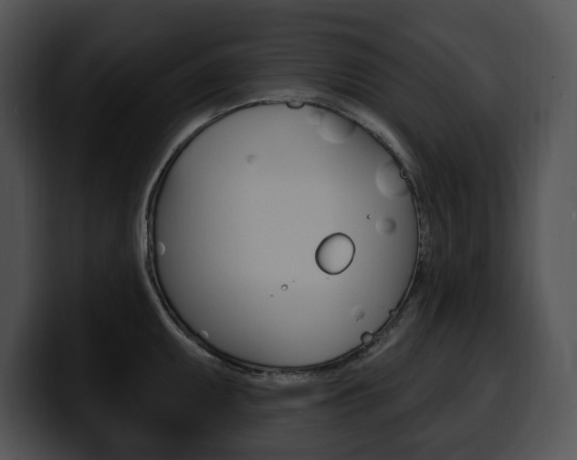 X0000100501095200806130725