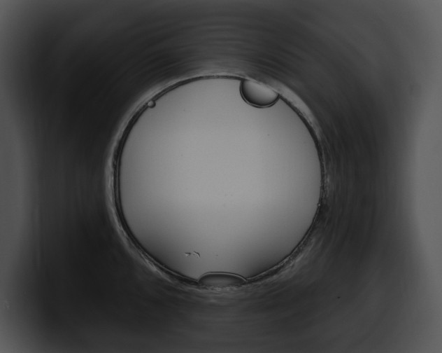 X0000100501096200806130725
