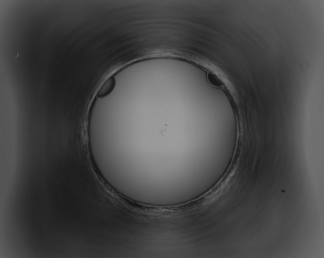 X0000100501097200806130725