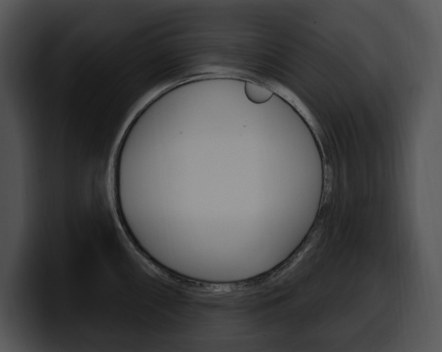 X0000100501098200806130725
