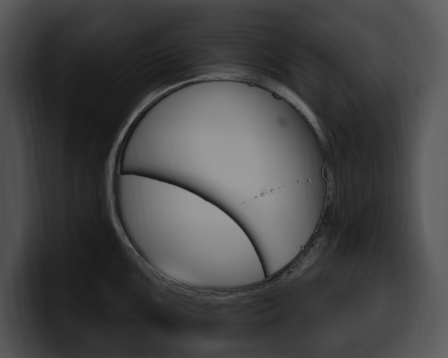 X0000100501099200806130724