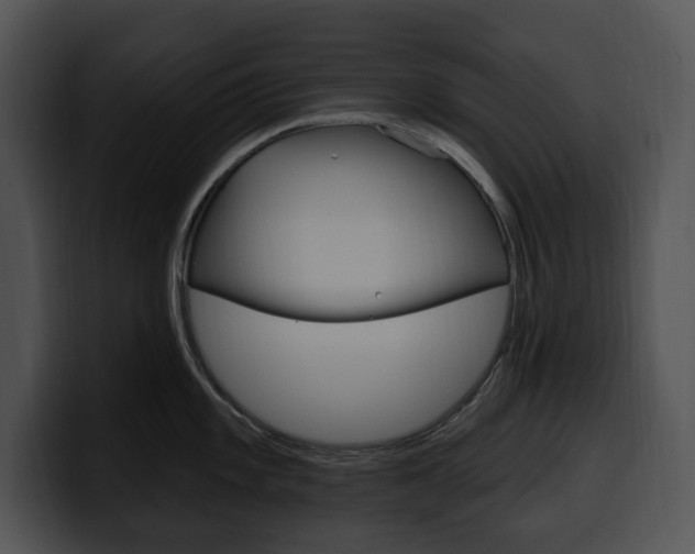 X0000100501101200806130724
