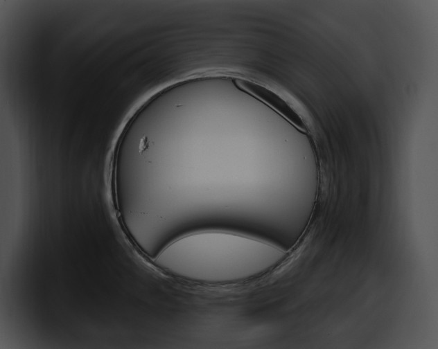 X0000100501102200806130724