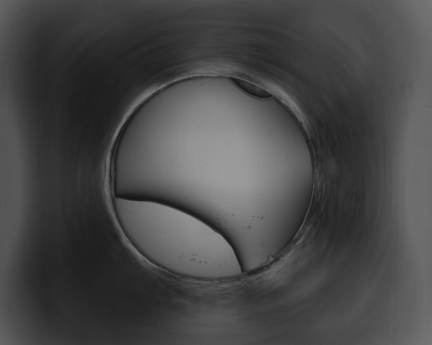 X0000100501103200806130724