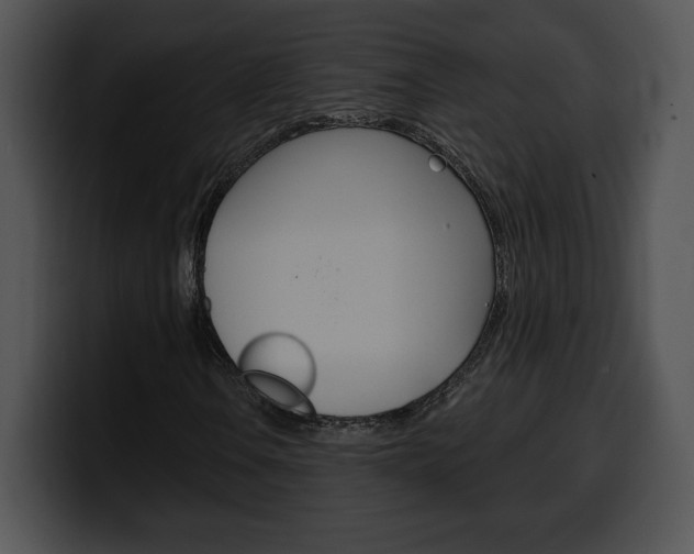 X0000100501106200806130724
