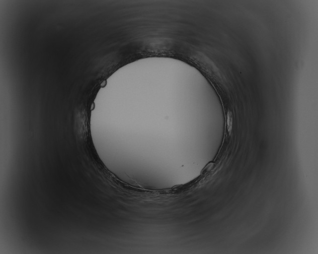 X0000100501107200806130724