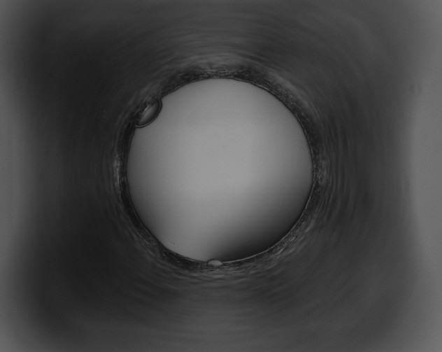 X0000100501108200806130724