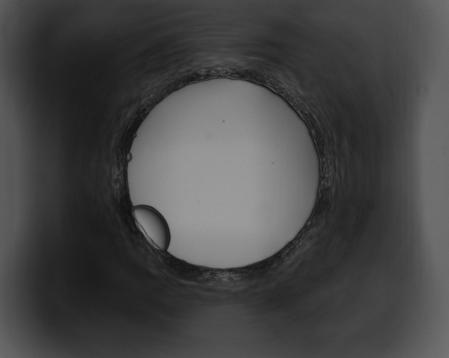 X0000100501109200806130724