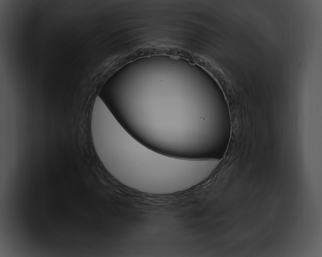X0000100501110200806130724