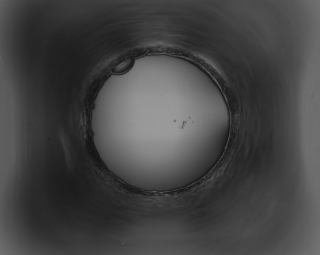X0000100501111200806130724