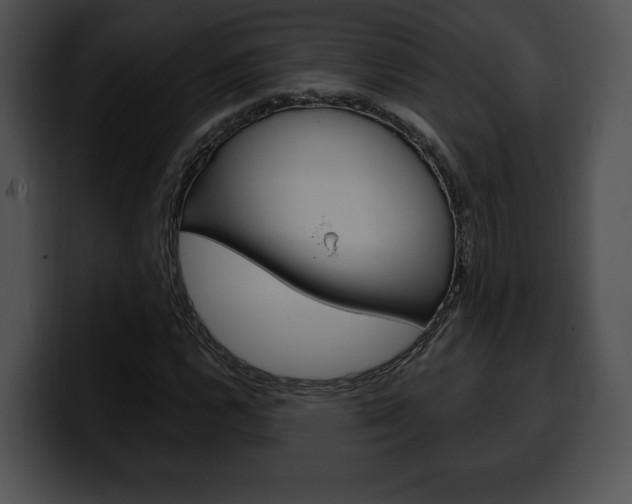 X0000100501112200806130724