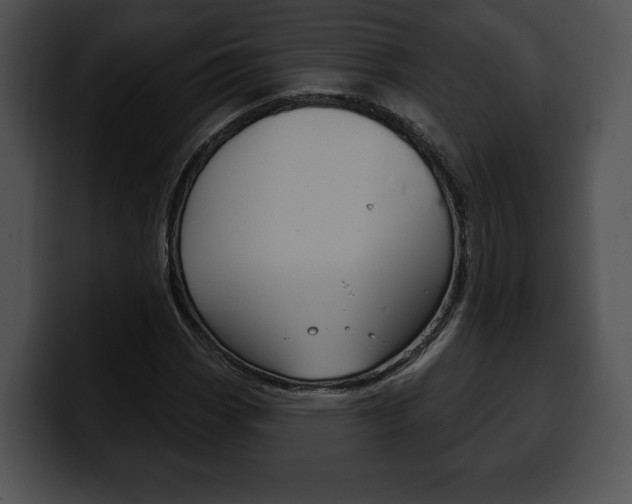 X0000100501113200806130724