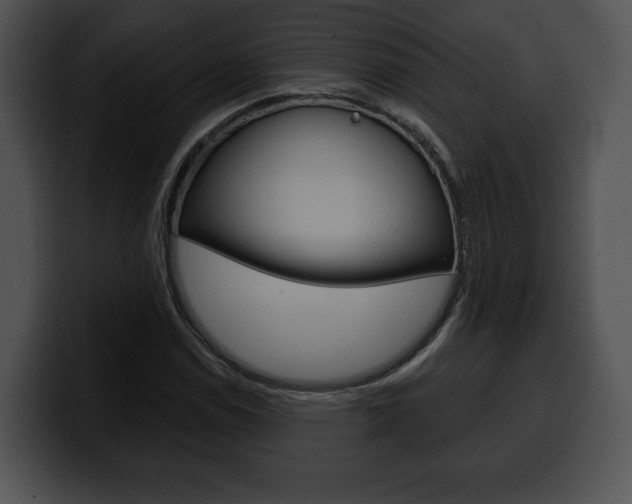 X0000100501114200806130724