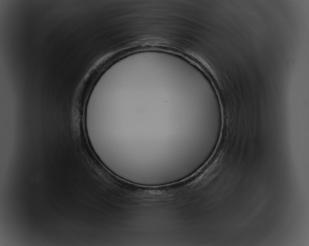 X0000100501115200806130724