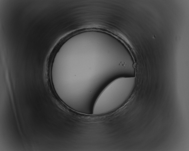 X0000100501116200806130724