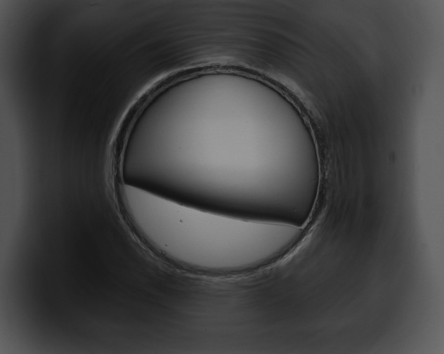 X0000100501118200806130724