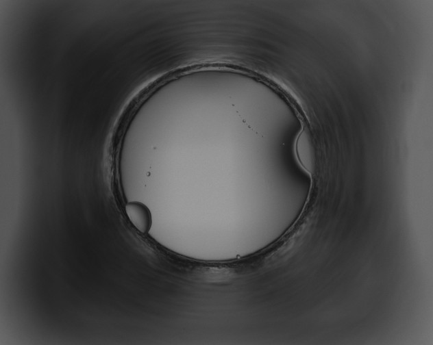 X0000100501119200806130724
