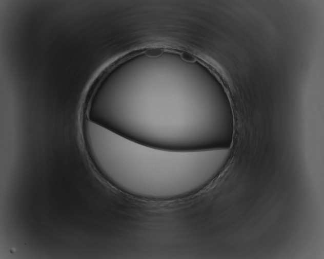 X0000100501120200806130724