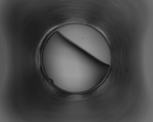 X0000100501123200806130724