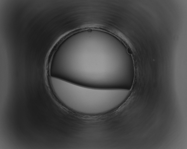 X0000100501124200806130724