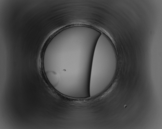 X0000100501125200806130724