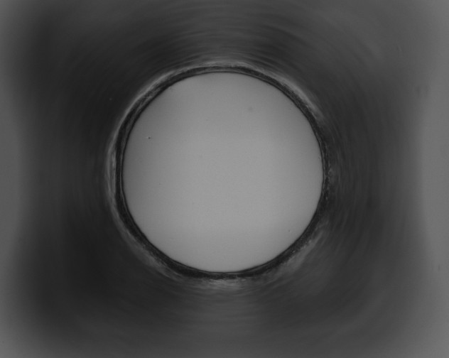 X0000100501126200806130724