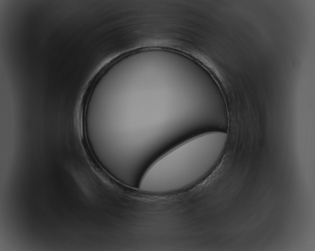 X0000100501127200806130724