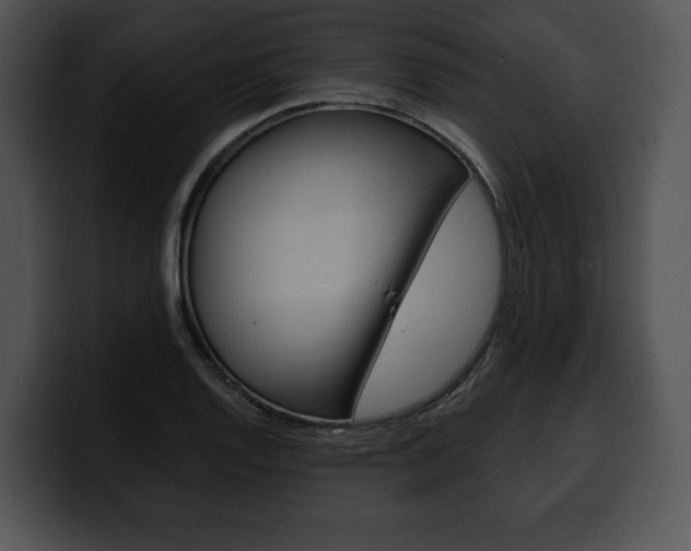 X0000100501128200806130724