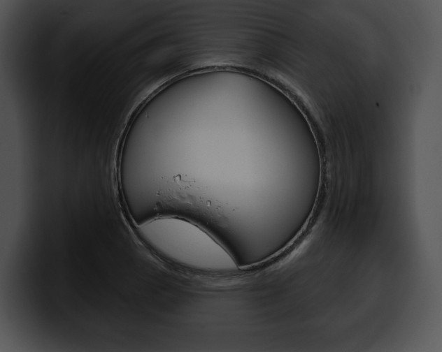 X0000100501129200806130724