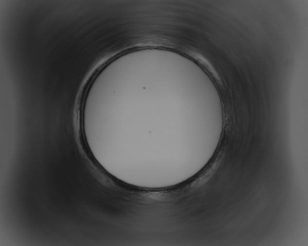 X0000100501130200806130724