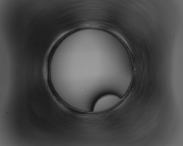 X0000100501131200806130724