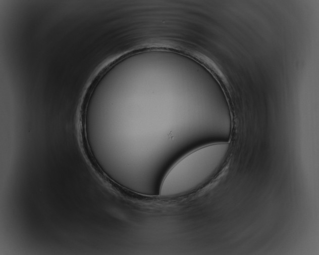 X0000100501133200806130724