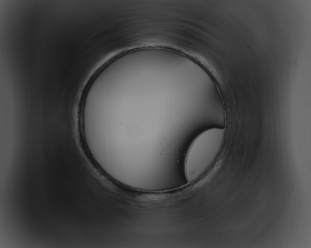 X0000100501134200806130724