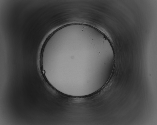 X0000100501136200806130724