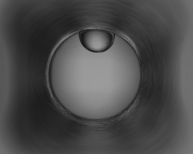 X0000100501138200806130724